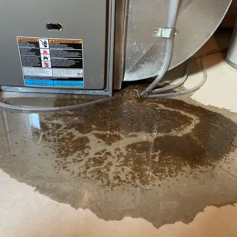 Appliance Leak Cleanup in Lake Bluff, IL